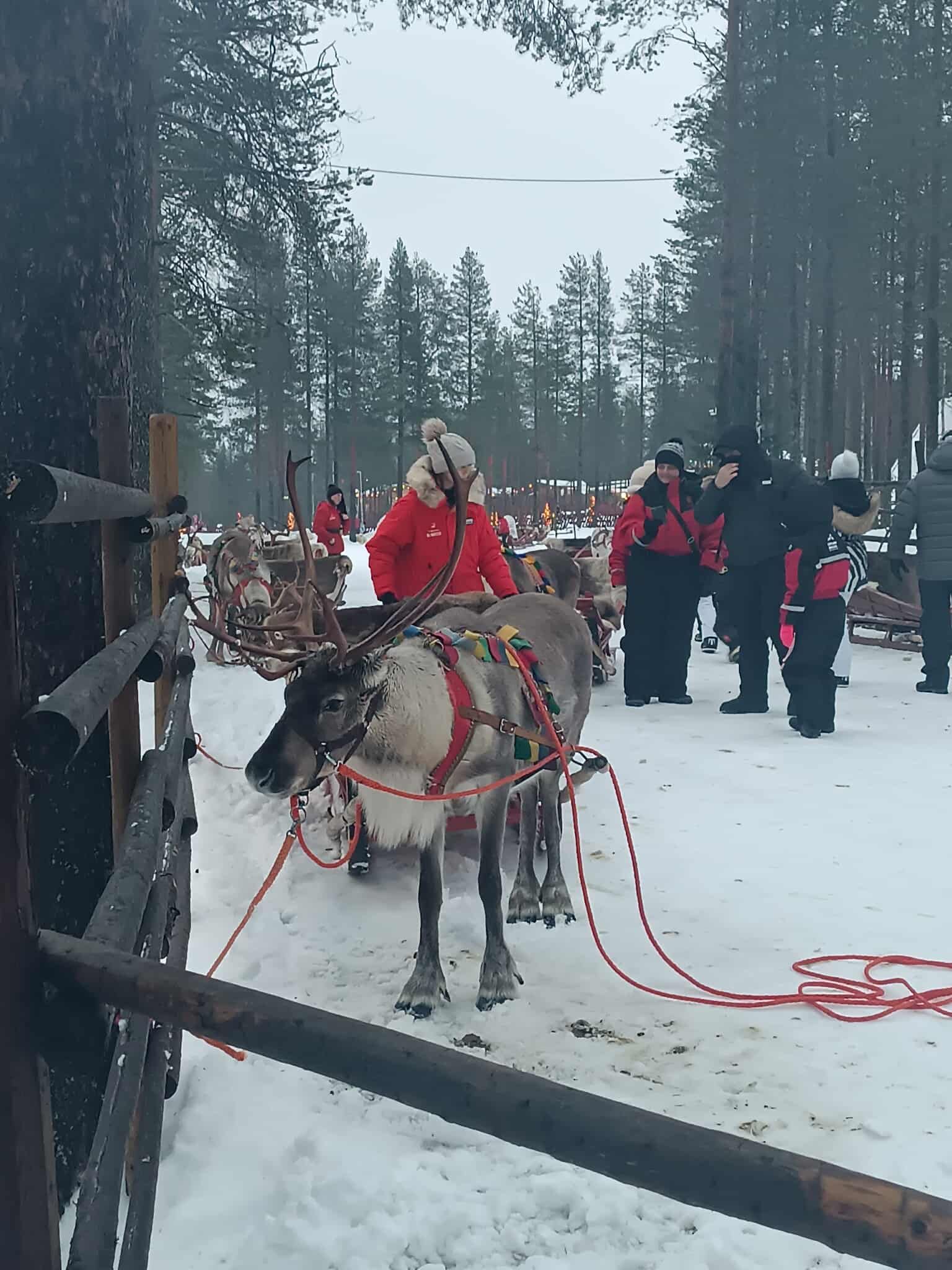 ЦСКА Лапландия