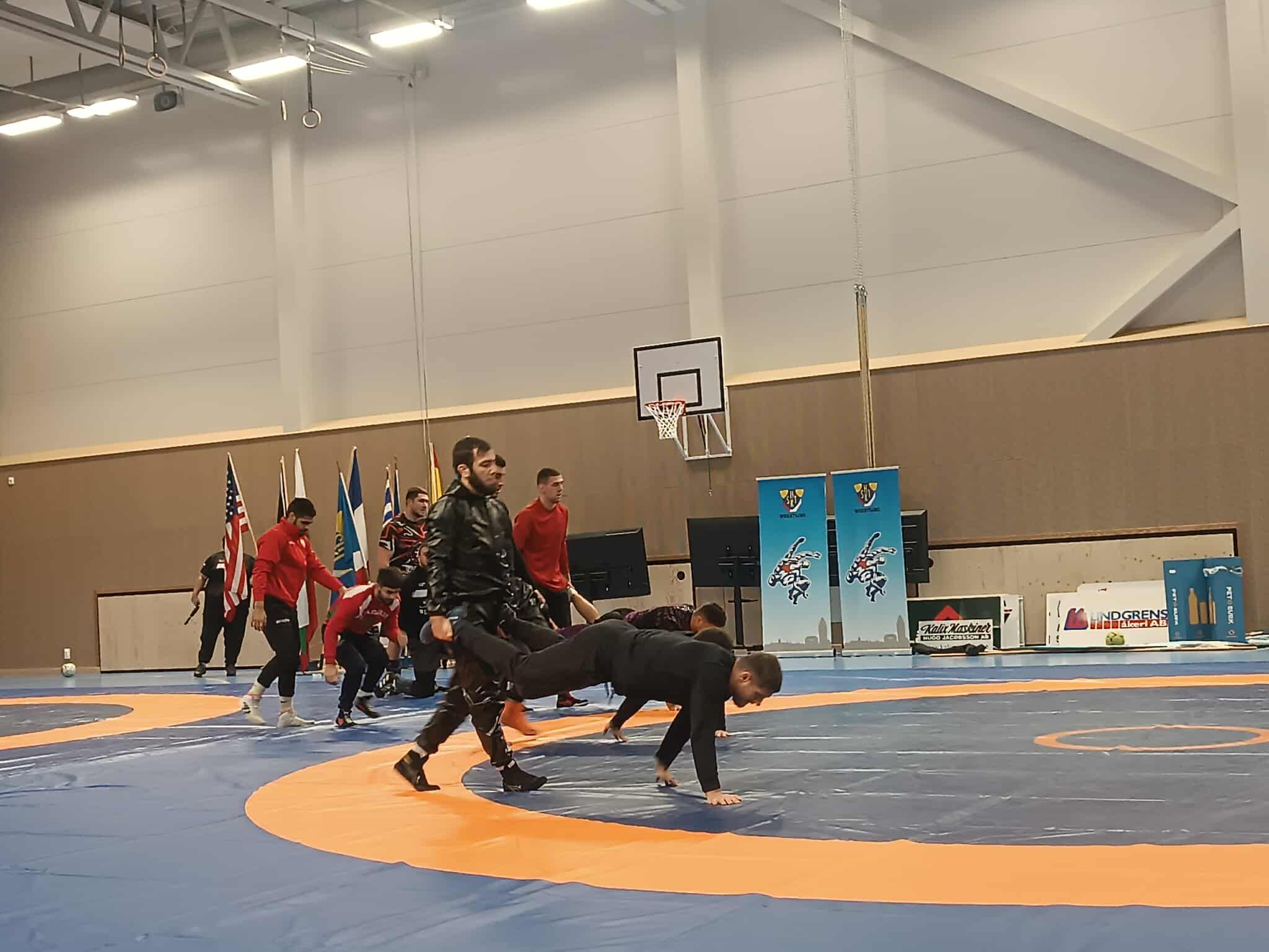 Хапаранда борба