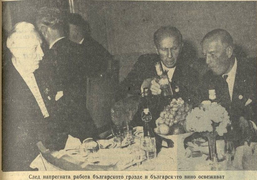 архив